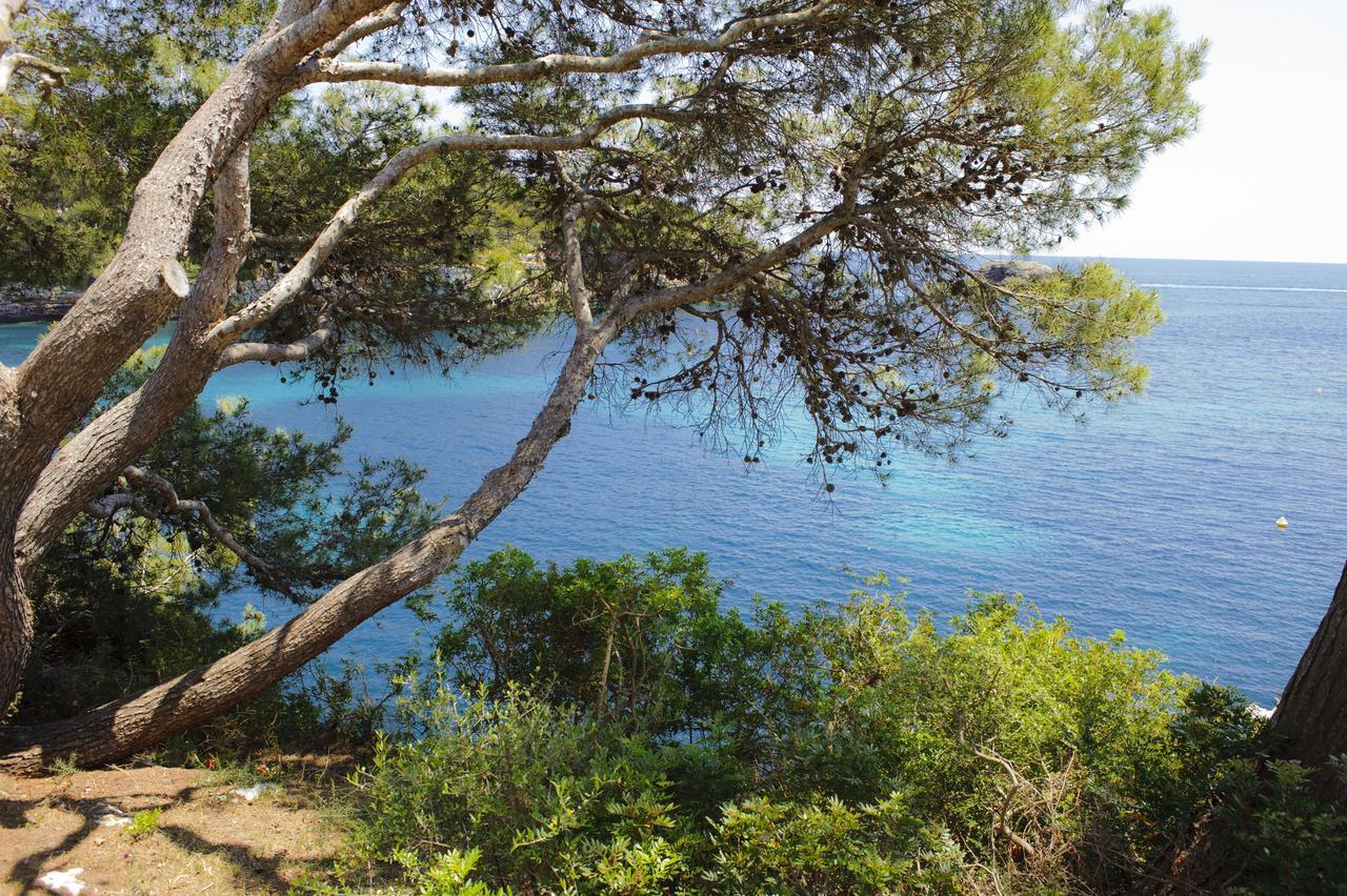 Apartamento Ferrera Park 623 Cala Ferrera  Buitenkant foto